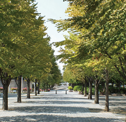 城陽市